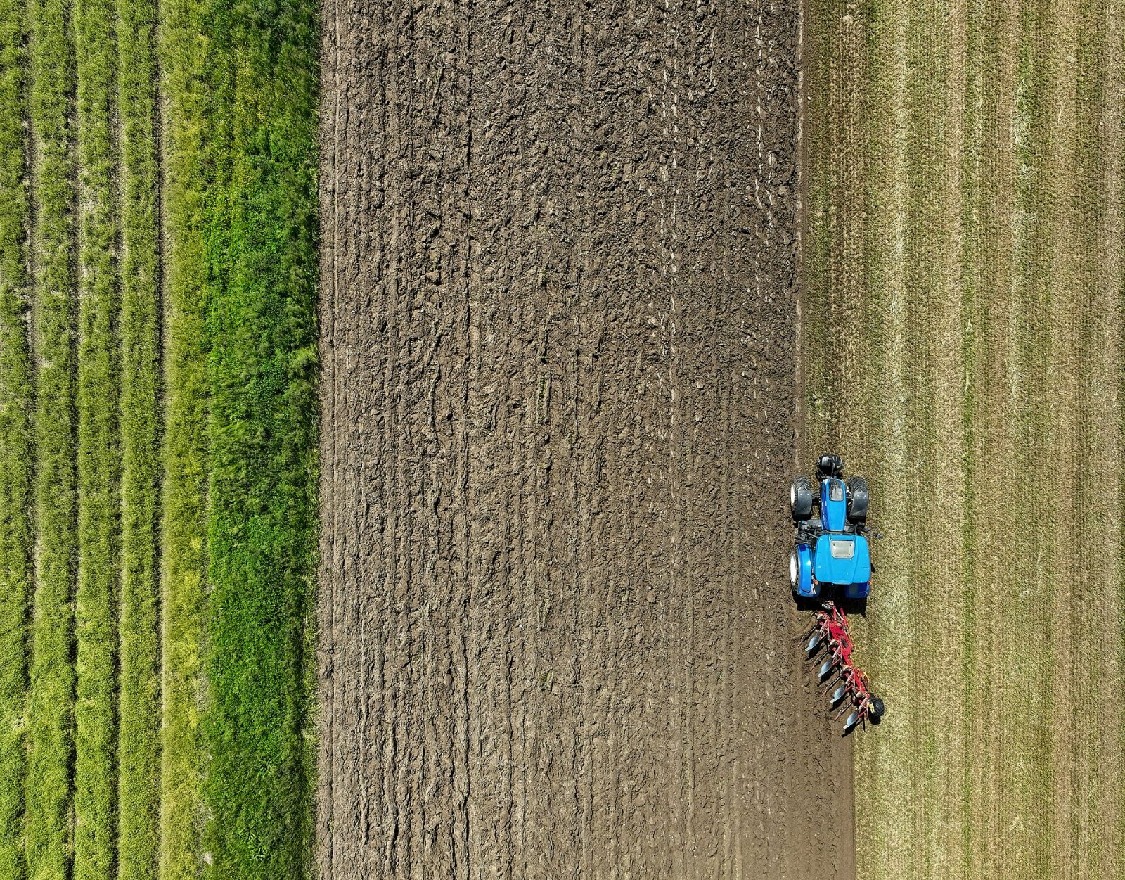 Trator New Holland arando em Zadobrova, Liubliana. Foto: Petar Milošević, CC BY-SA 4.0.